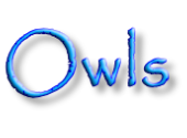 Owls